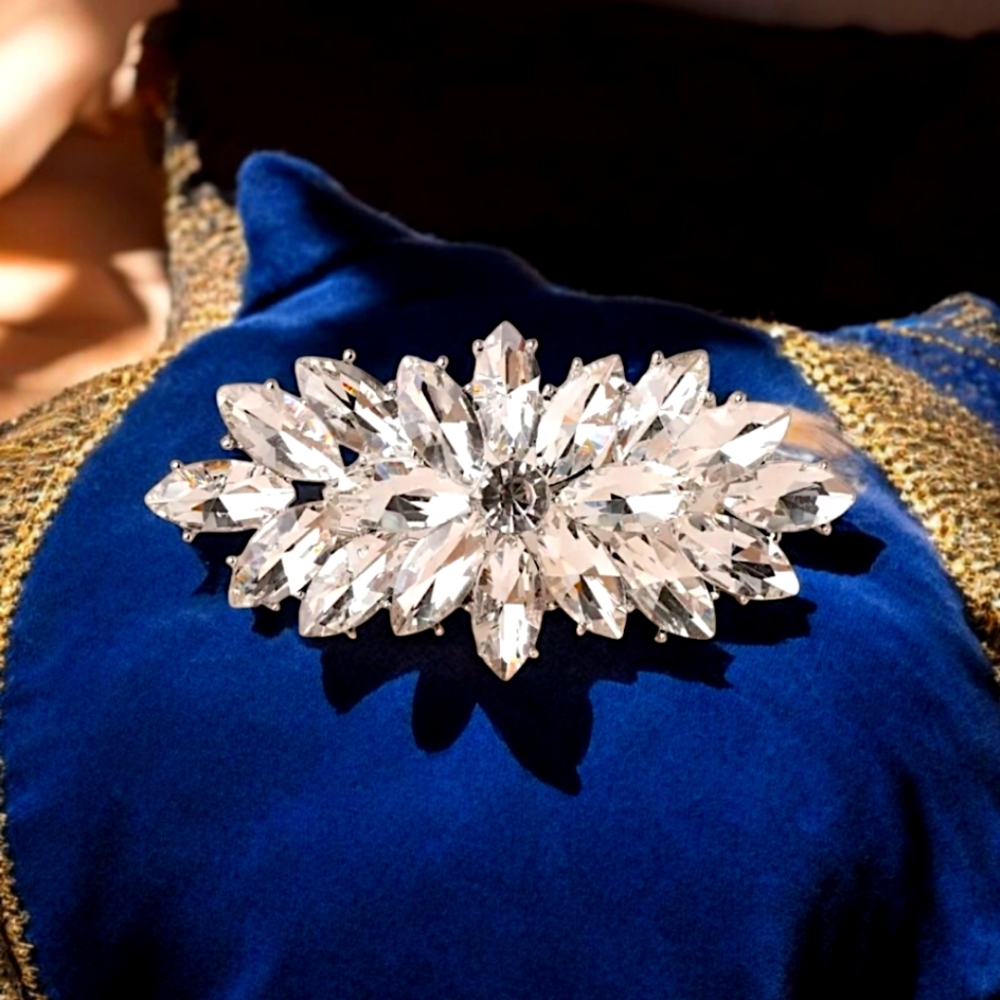 Nevette Rhinestone Statement Brooch - image 1